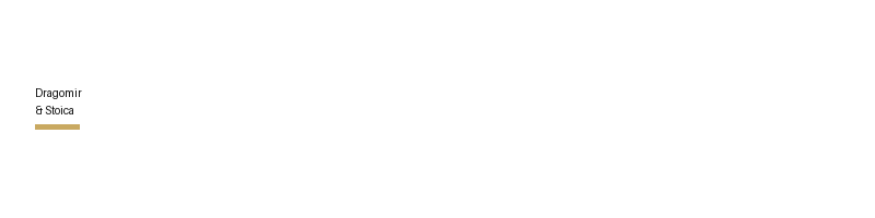 Dragomir & Stoica logo